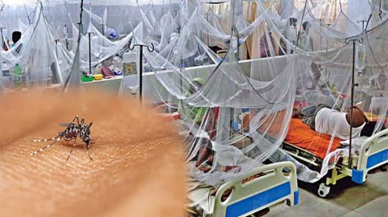 ডেঙ্গুতে আক্রান্ত হয়ে ৩ জনের মৃত্যু,হাসপাতালে ভর্তি ২৫১